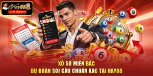 Xổ Số Miền Bắc - Dự Đoán Soi Cầu Chuẩn Xác Tại Hay88